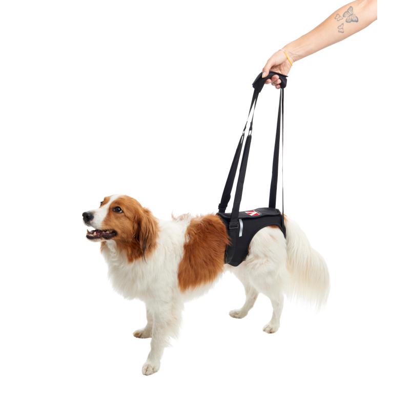 KRUUSE Rehab Lift Harness Hind Legs L