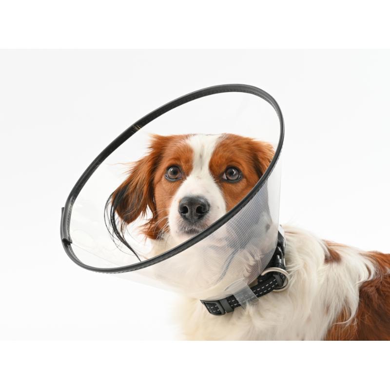 BUSTER Comfort Collar 12.5cm
