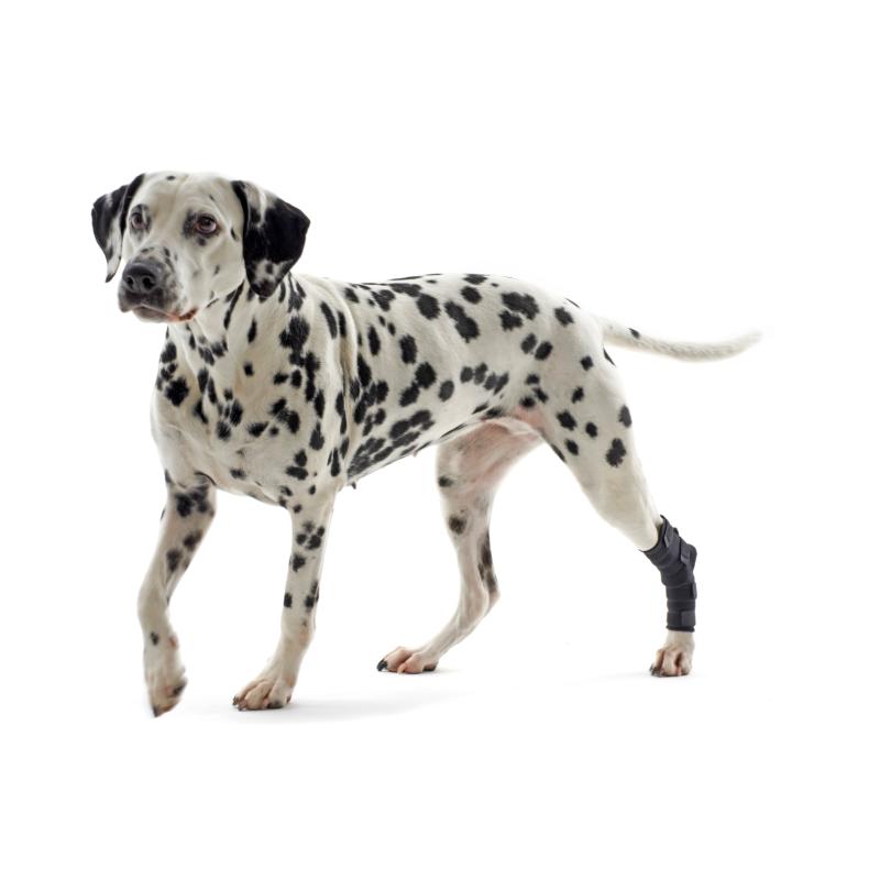 KRUUSE Rehab Hock Protector XXXS