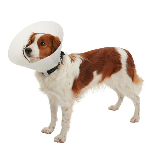 BUSTER Collar Dog 10cm Classic (273320)