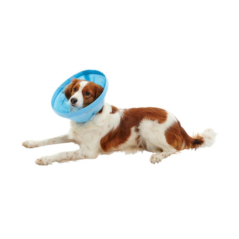 BUSTER Soft Flex Collar 10cm