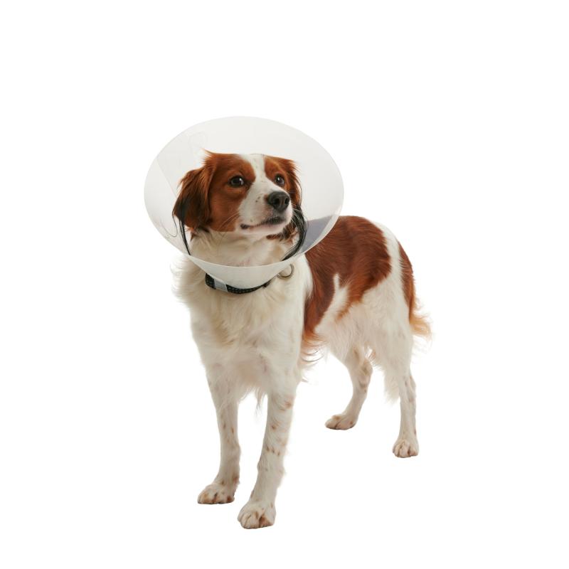 Collar Clic 35cm BUSTER (273488 ) Single
