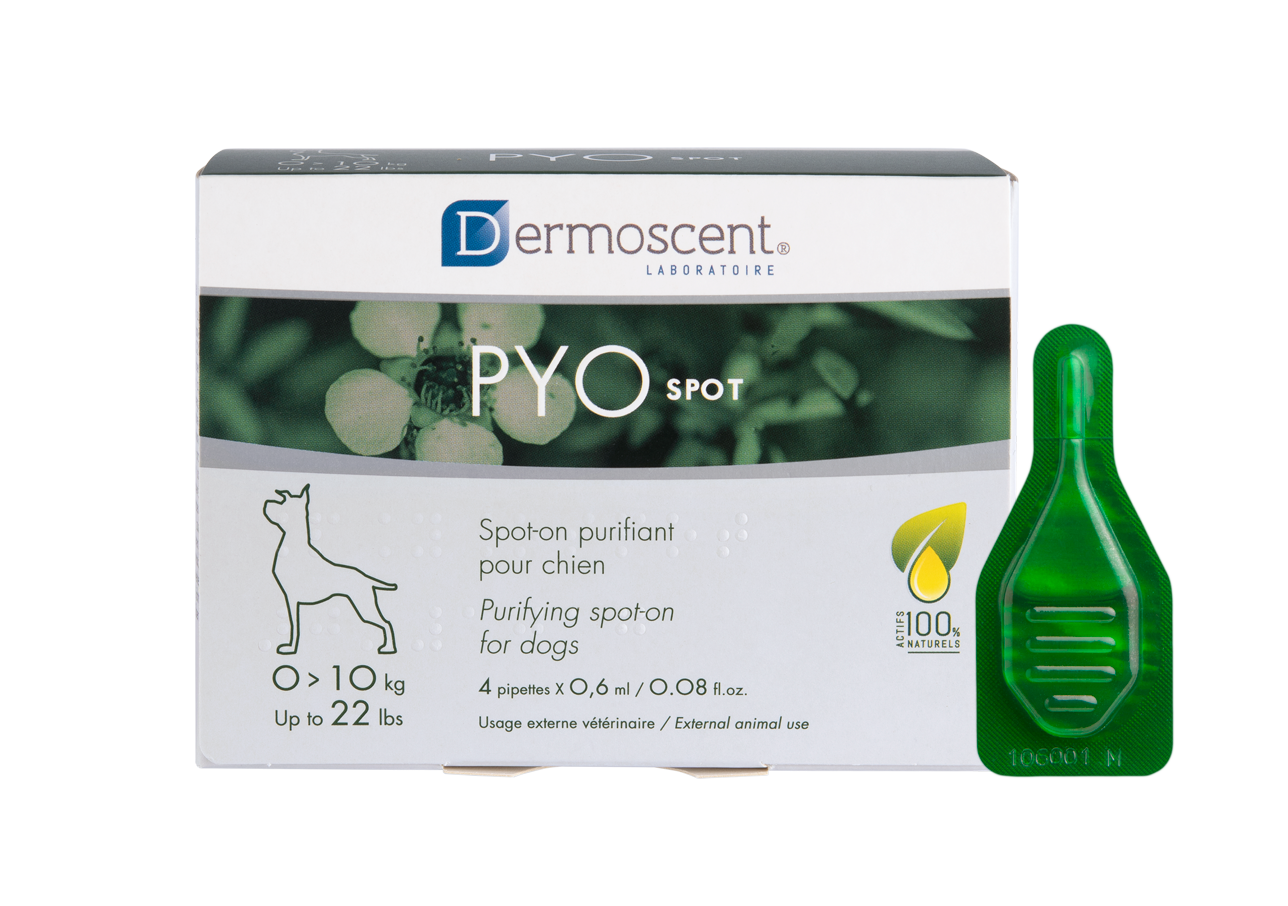 PYOspot for Dogs