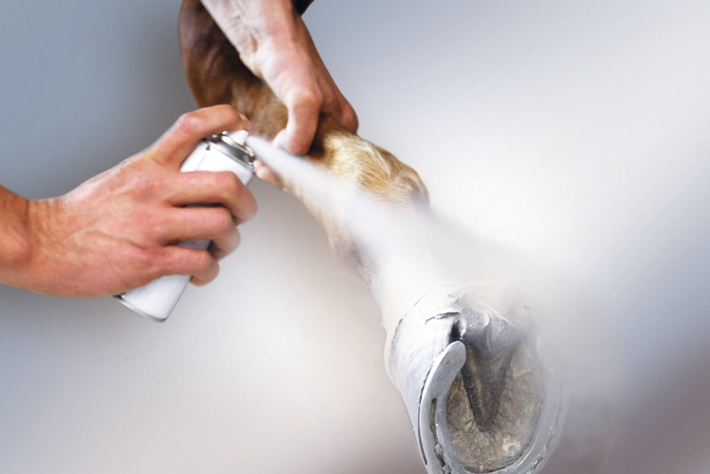 Derbymed SCP Spray 200ml