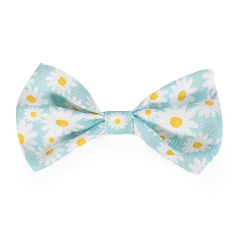 Rosewood Easter Bowtie for Dogs