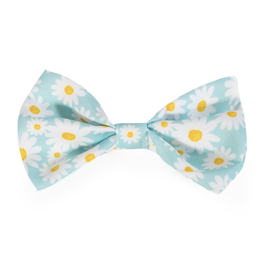 Rosewood Easter Bowtie for Dogs