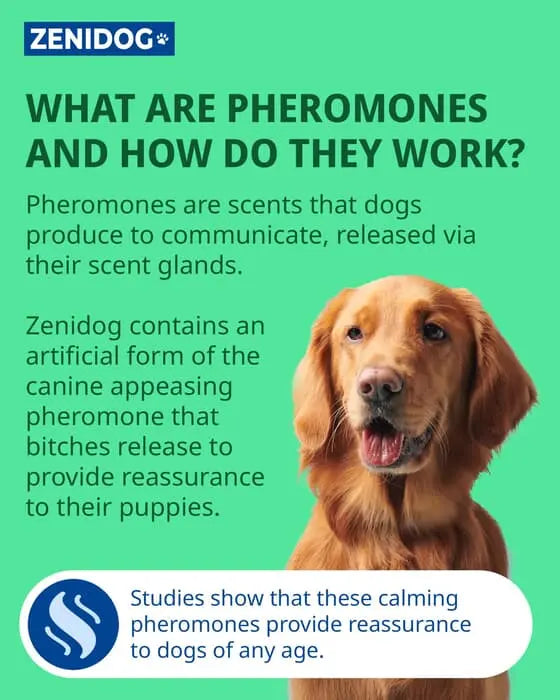 Zenidog Calmin Gel Diffuser for Dogs 230g