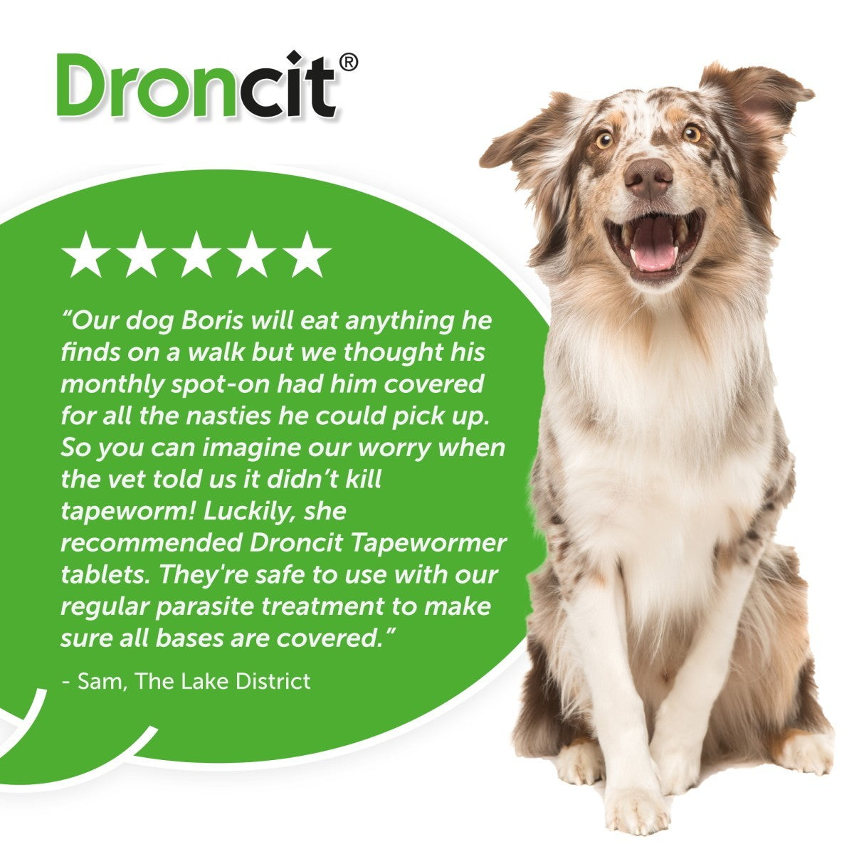 Droncit Tablet Tapewormer for Cats and Dogs