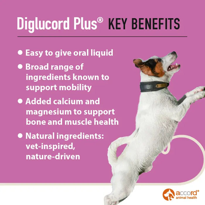 Diglucord Plus Oral Solution 55ml