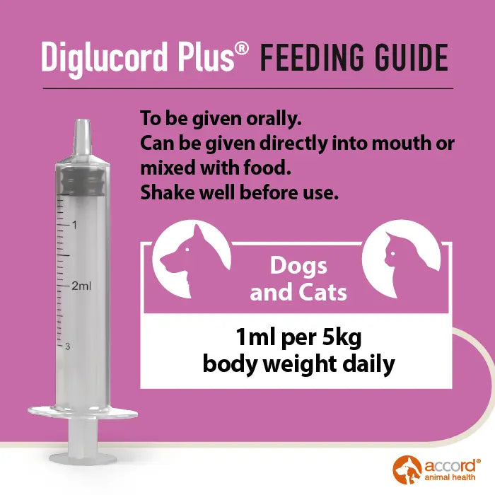Diglucord Plus Oral Solution 55ml