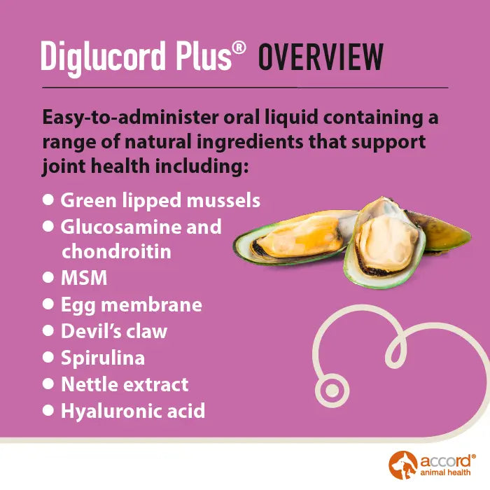 Diglucord Plus Oral Solution 55ml