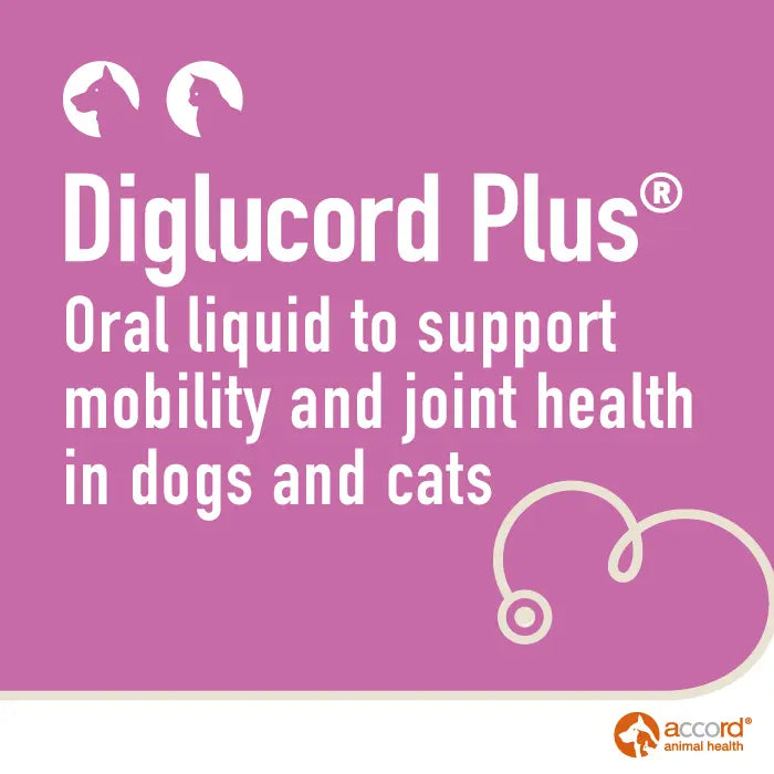 Diglucord Plus Oral Solution 55ml