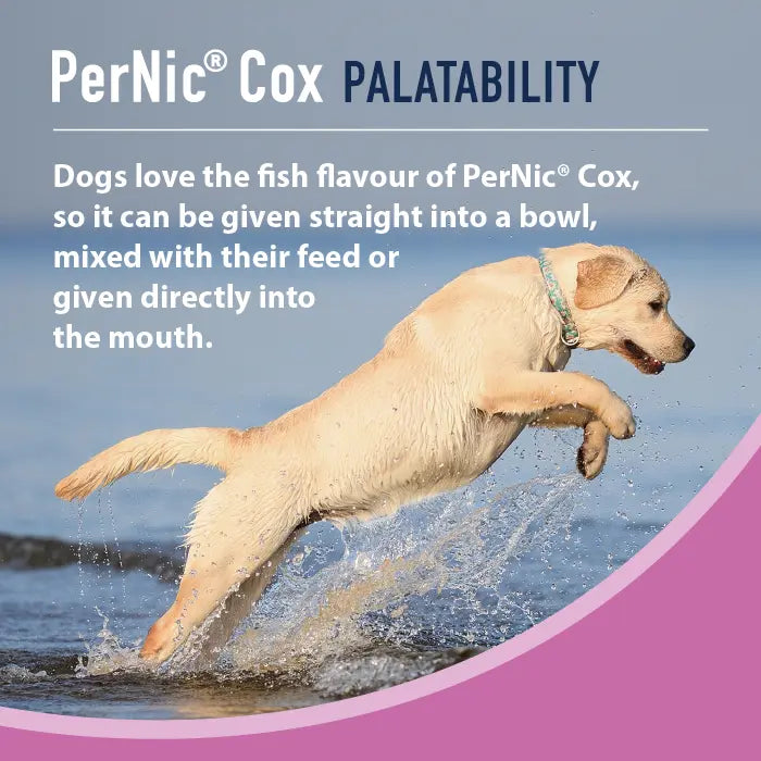 Pernic Cox 30ml