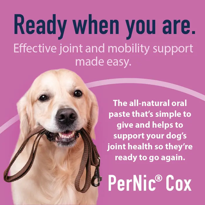 Pernic Cox 30ml