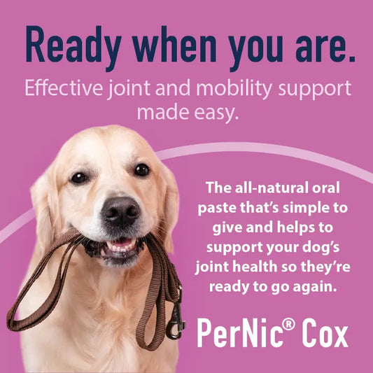 Pernic Cox 30ml
