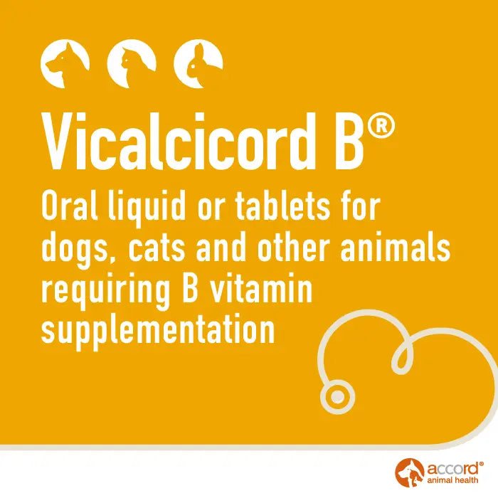 Accord Vicalcicord B Supplement for Dogs & Cats