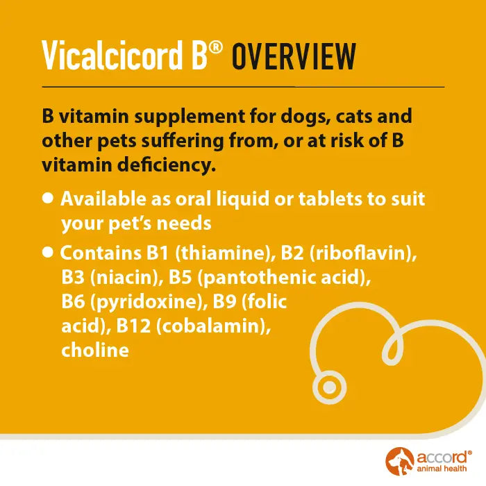 Accord Vicalcicord B Supplement for Dogs & Cats
