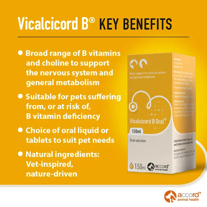 Accord Vicalcicord B Supplement for Dogs & Cats