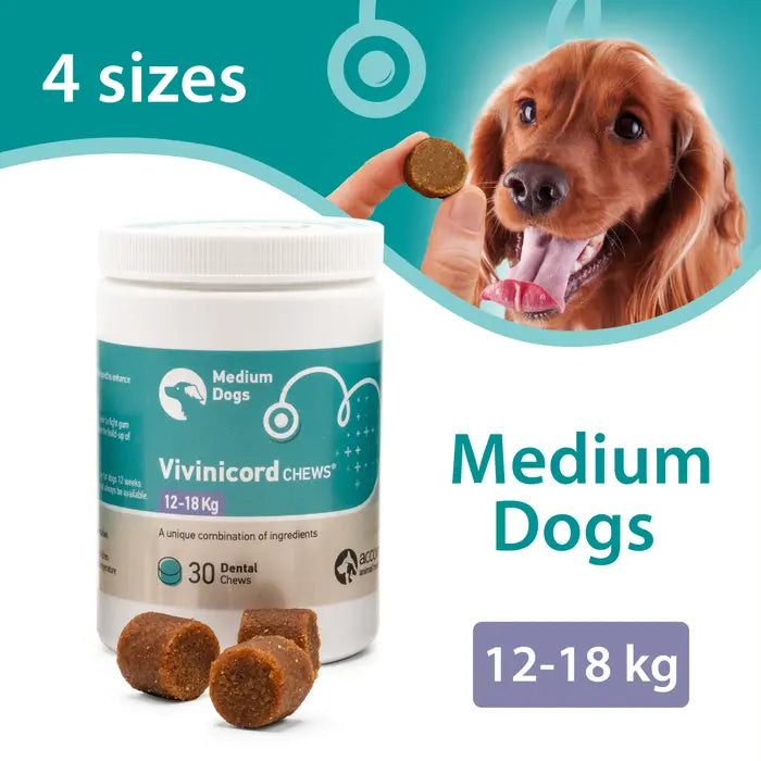 Vivinicord Dental Chews for Dogs