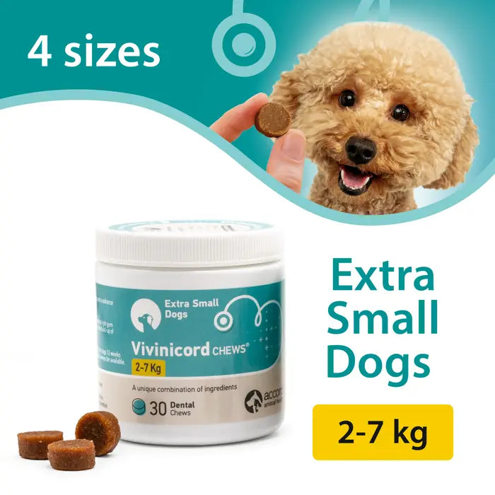 Vivinicord Dental Chews for Dogs