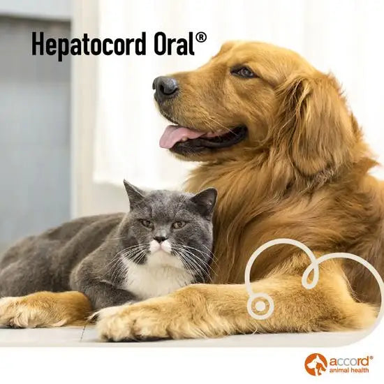 Hepatocord Oral Liver Support Supplement for Dogs & Cats