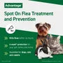 Advantage 100 Flea Treatment for Small Dogs (Single Pipette)