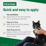 Advantage 100 Flea Treatment for Small Dogs (Single Pipette)