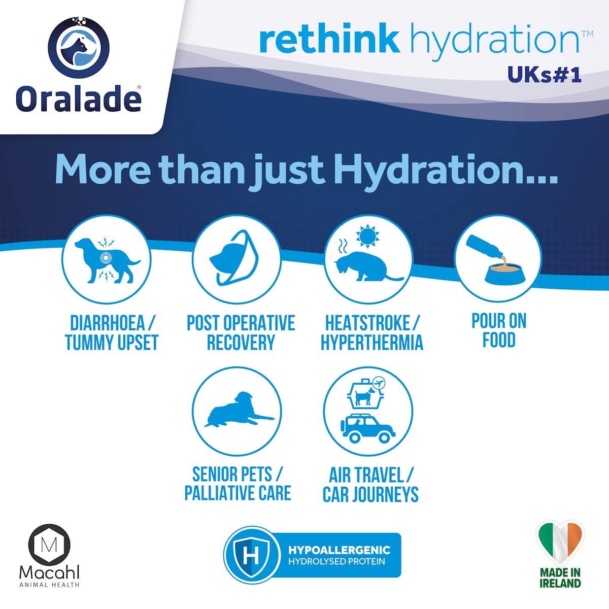 Oralade Advanced GI Support for Cats and Dogs 500ml