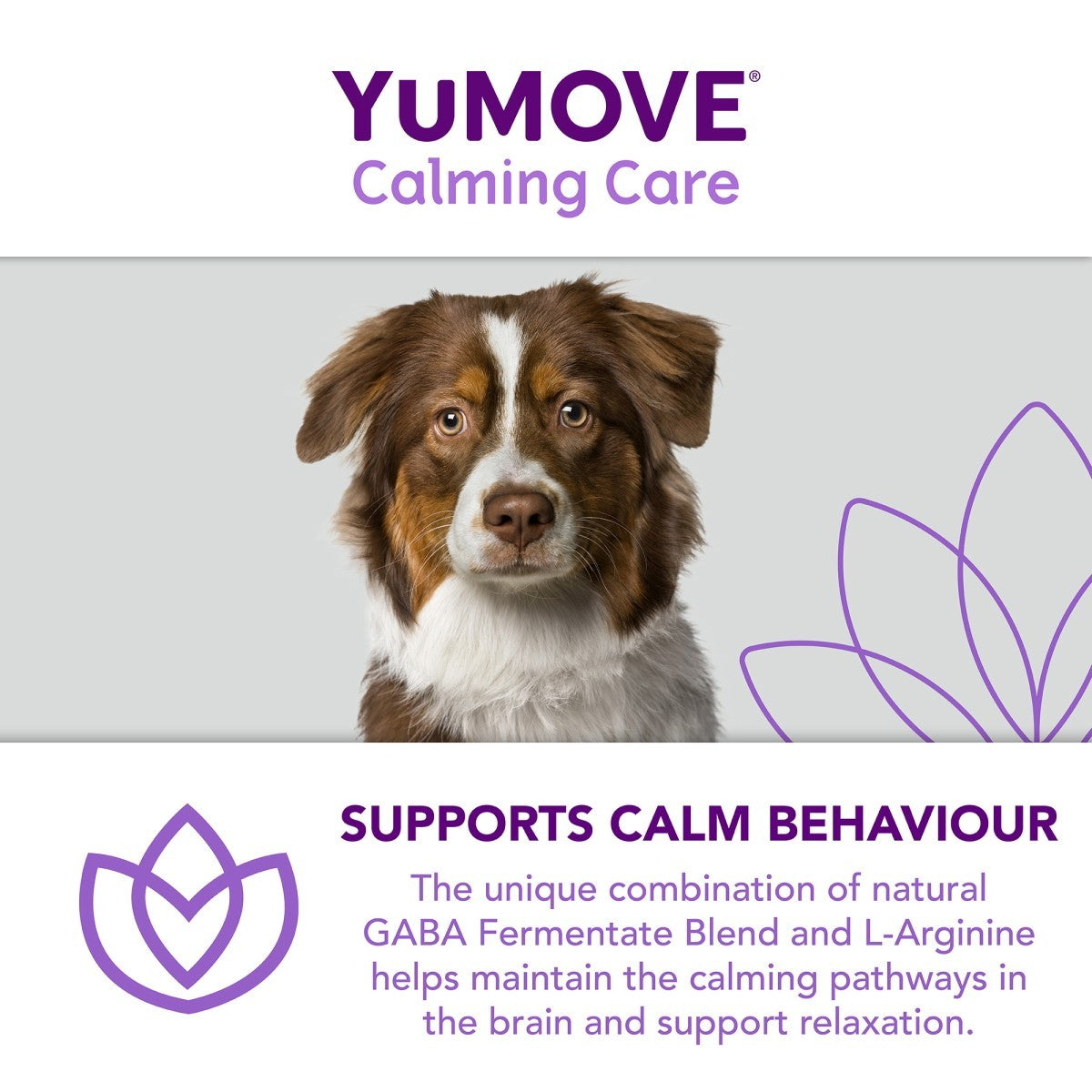YuMOVE Calming Care for Adult Dogs
