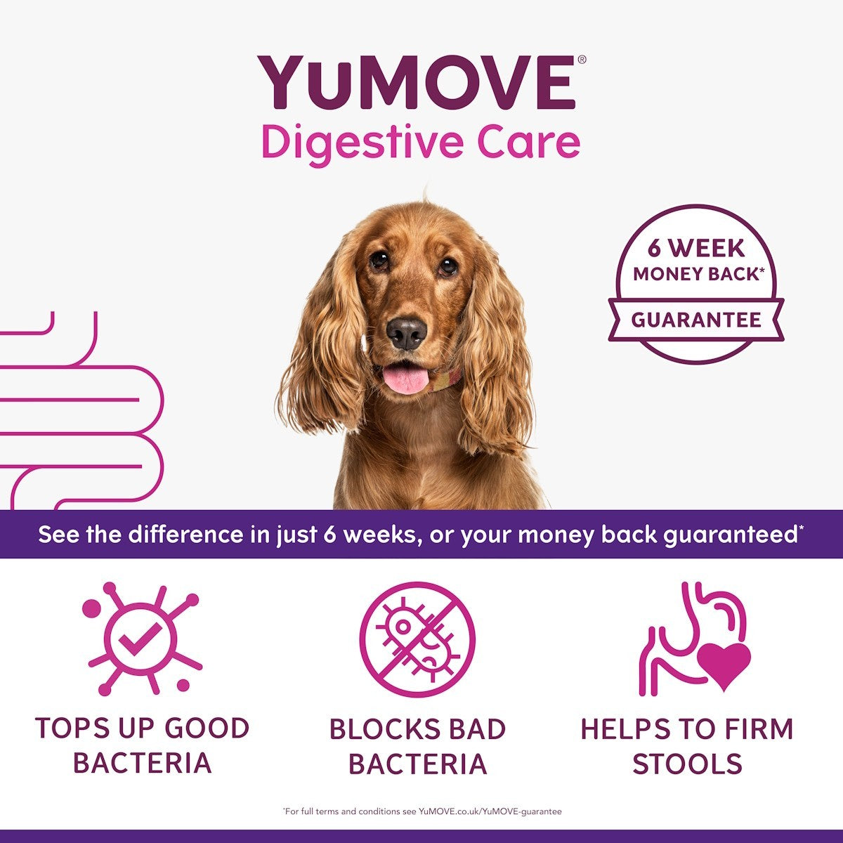 YuMOVE Digestive Care