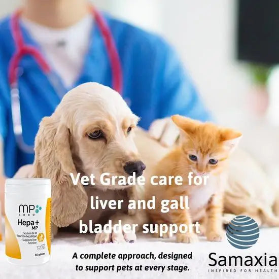 MP Labo Hepa+ MP Liver Function Support Supplement Capsules for Cats & Dogs