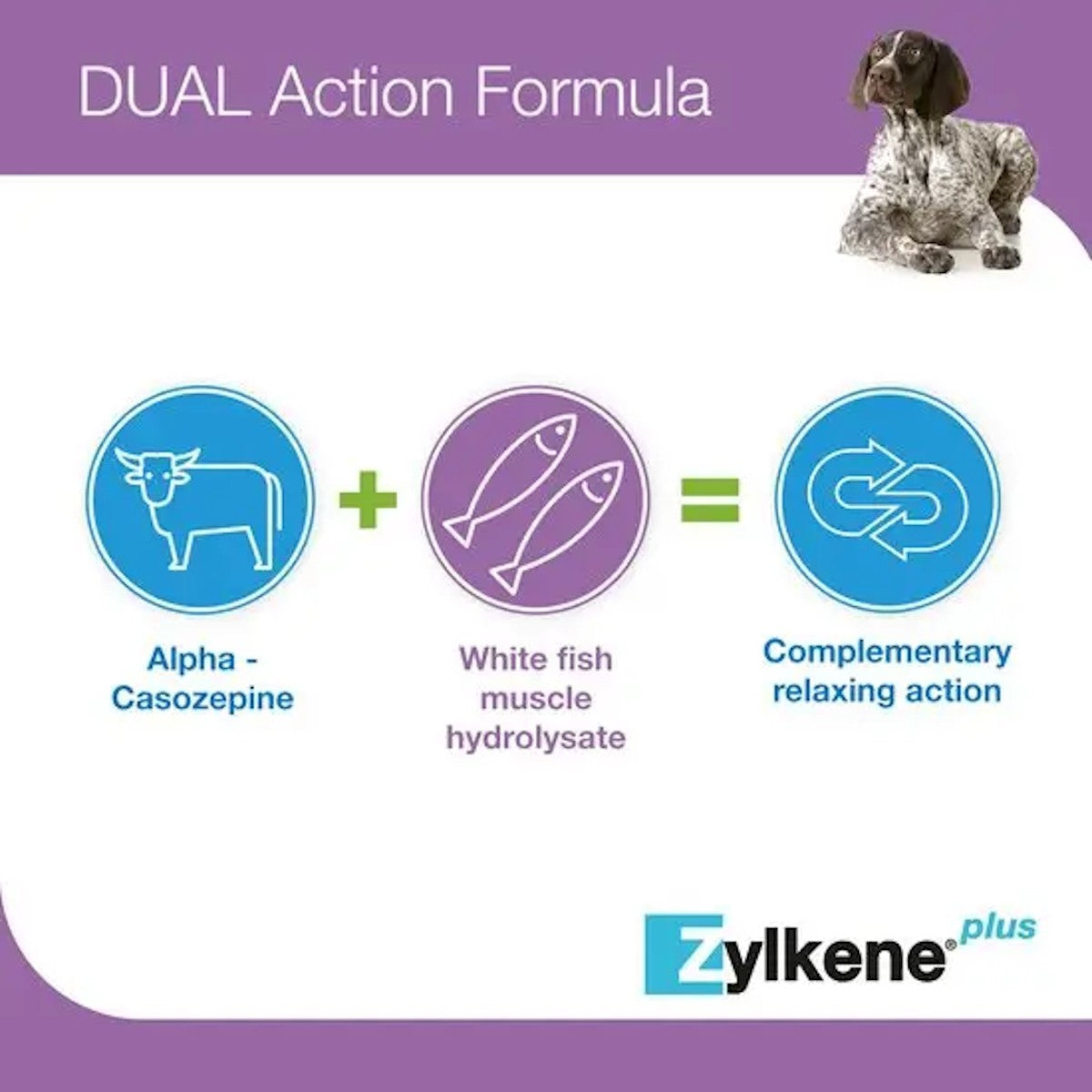 Zylkene Plus 450mg Capsules for Large Dogs