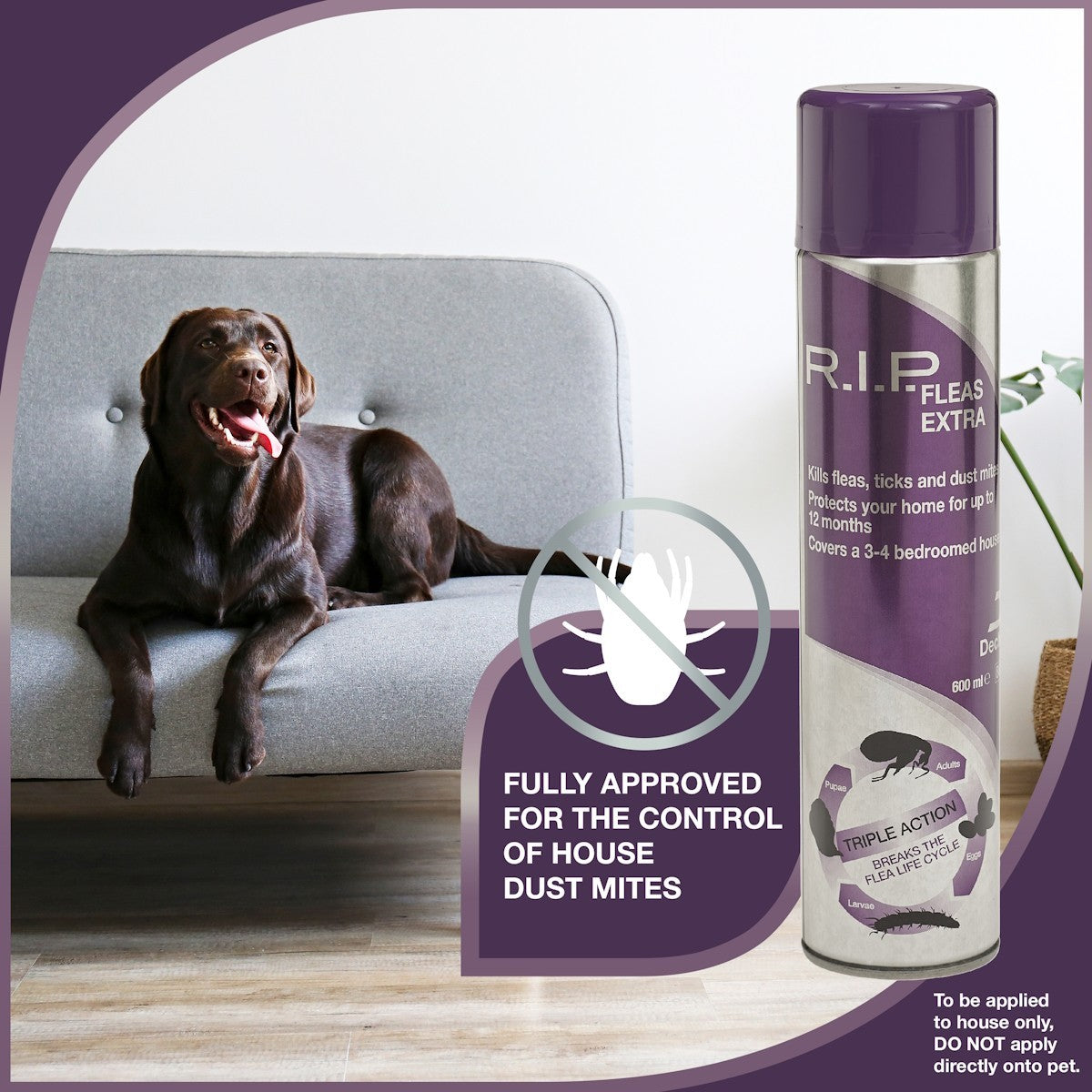 R.I.P Fleas Extra Household Flea Spray 600ml