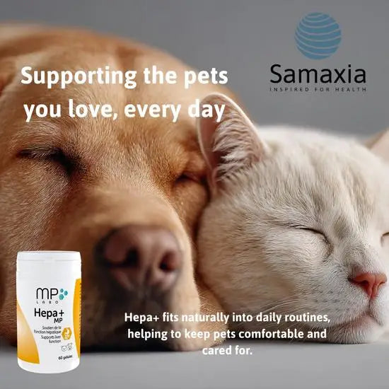 MP Labo Hepa+ MP Liver Function Support Supplement Capsules for Cats & Dogs
