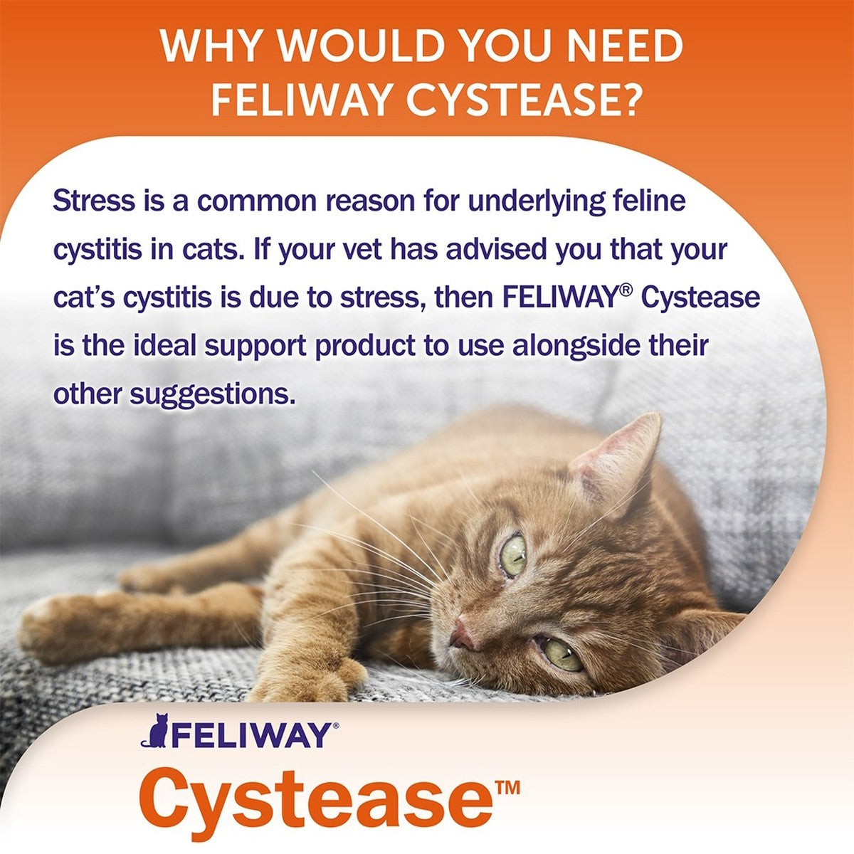 Feliway Cystease Urinary Tract Support for Cats