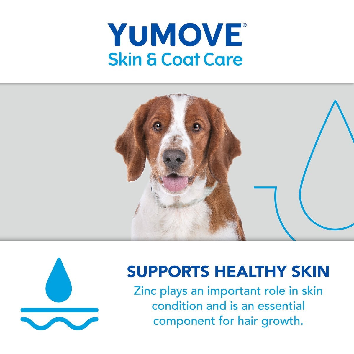 YuMOVE Skin & Coat Care Boost 91.5g