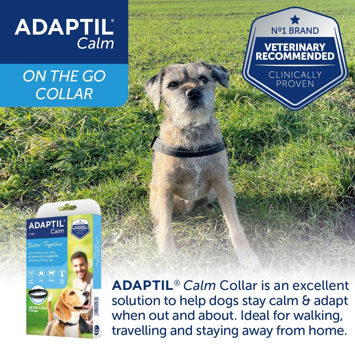 Adaptil Calm Collar for Dogs