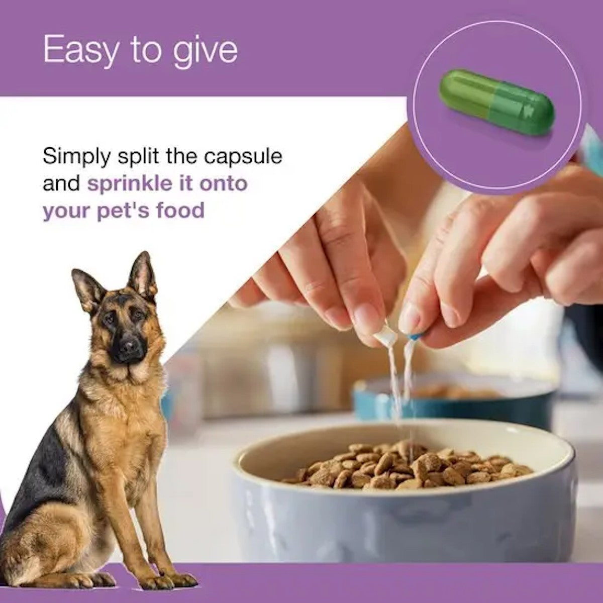 Zylkene Plus 450mg Capsules for Large Dogs