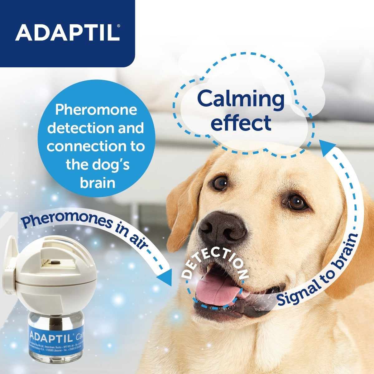 Adaptil Calm Home Diffuser 30 Day Starter Kit
