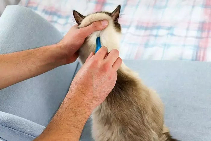Frontline Spot On Flea & Tick Treatment Dogs & Cats