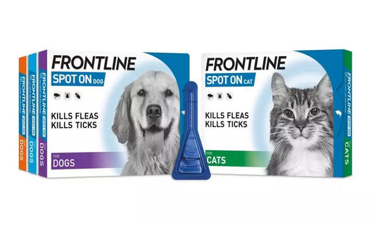 Frontline Spot On Flea & Tick Treatment Dogs & Cats