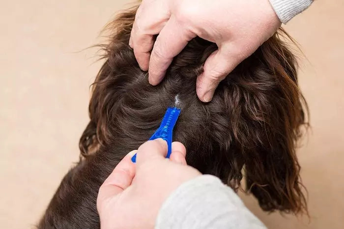 Frontline Spot On Flea & Tick Treatment Dogs & Cats