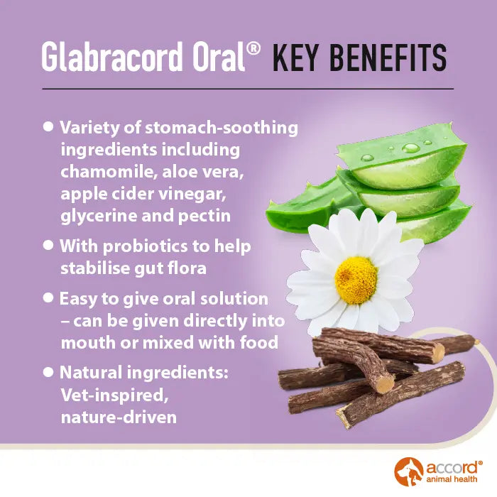 Glabracord Oral Solution for Dogs & Cats
