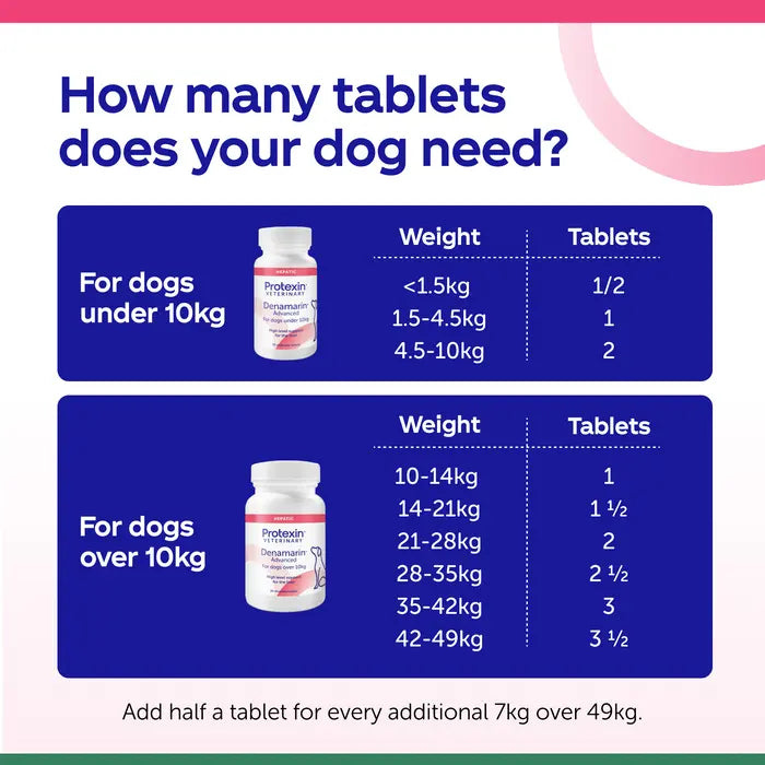 Protexin Veterinary Denamarin Advanced Liver & Gut Supplement for Dogs