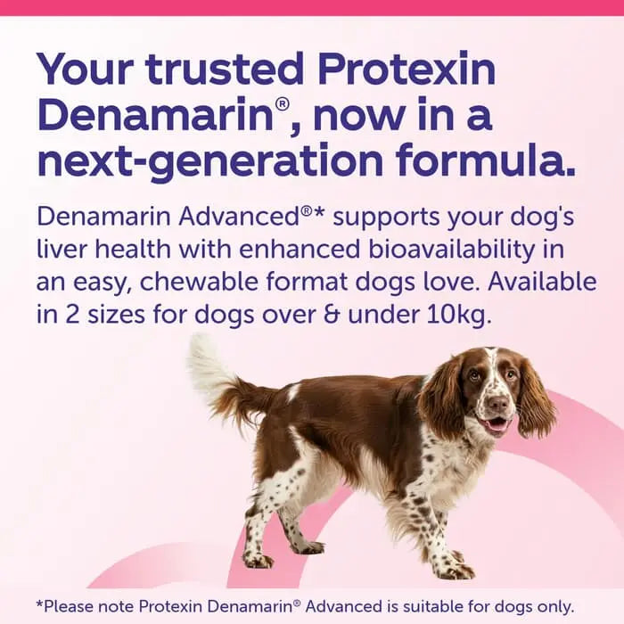 Protexin Veterinary Denamarin Advanced Liver & Gut Supplement for Dogs