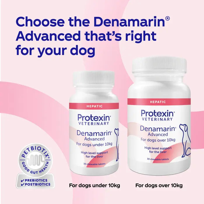 Protexin Veterinary Denamarin Advanced Liver & Gut Supplement for Dogs