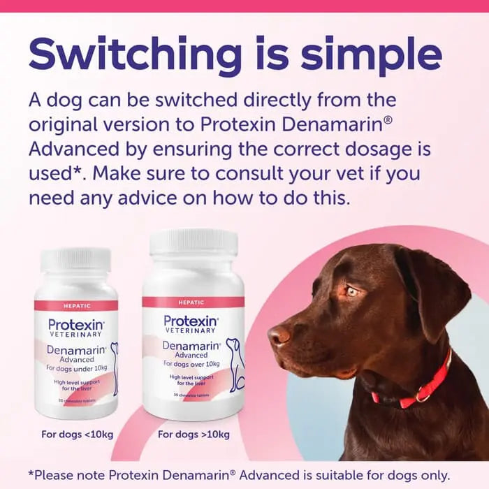 Protexin Veterinary Denamarin Advanced Liver & Gut Supplement for Dogs