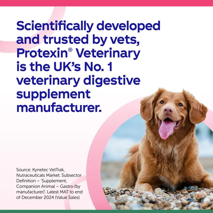 Protexin Veterinary Denamarin Advanced Liver & Gut Supplement for Dogs