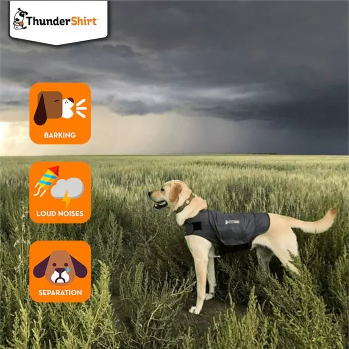 Thundershirt Anxiety Relief Dog Coat