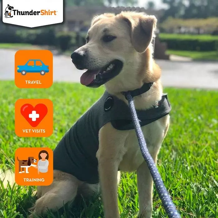 Thundershirt Anxiety Relief Dog Coat